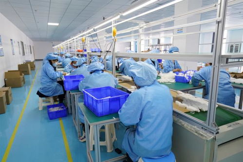 雙品牌戰略驅動全球布局 投資2家工廠與蓋夫內外貿的技術開發之路